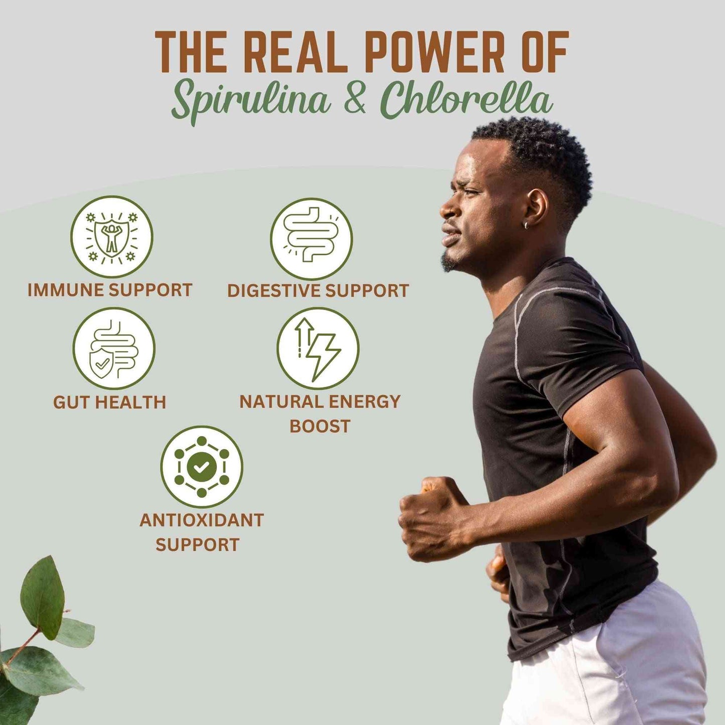 Organic Chlorella & Spirulina Tablets, 50/50 Blend, 500mg Each, 720 Count, 4 months supply Health & Beauty:Vitamins & Dietary Supplements:Herbs & Botanicals Go Nutra Go Nutra 600 Organic Chlorella & Spirulina Tablets, 50% Each for Detoxing, Energy, Immune Support & Guts. 720g, 240 Serv., Phytonutrients, Protein, Vegan Superfood, Non-GMO, Gluten-Free. 50/50 Superfood Tablets 1250 mg