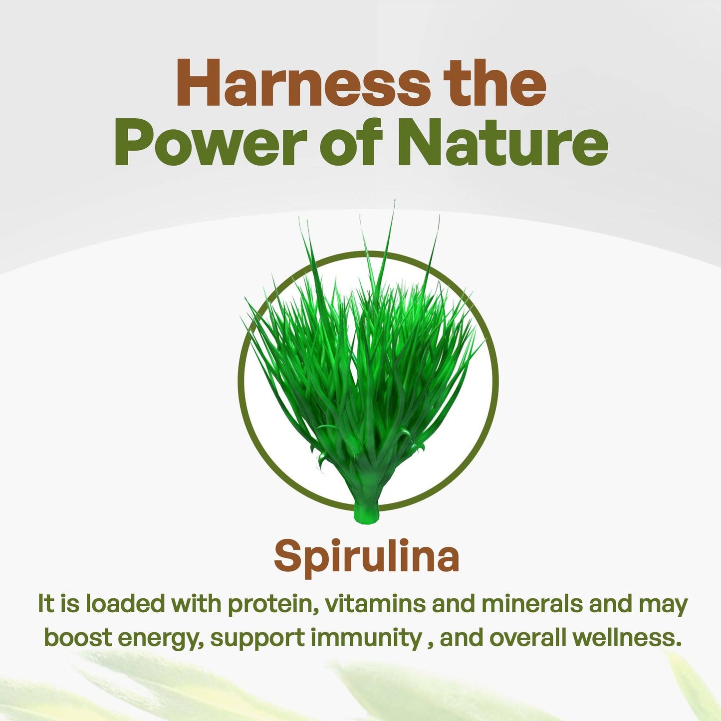 Spirulina Tablets Organic 3000mg