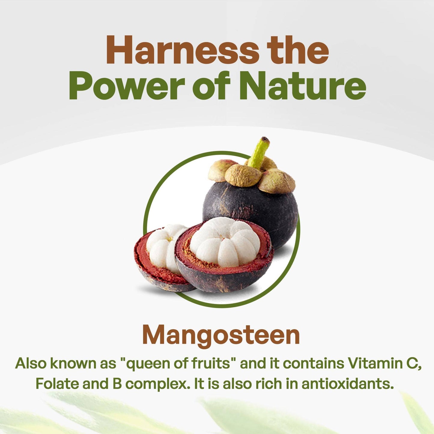 Mangosteen Juice Powder Superfood for Smoothies  | Go Nutra