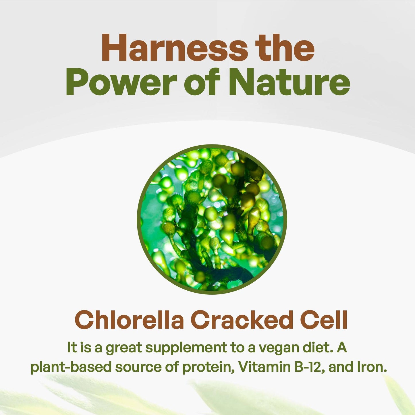 a picture of a cell phone with the text, harness the power of nature