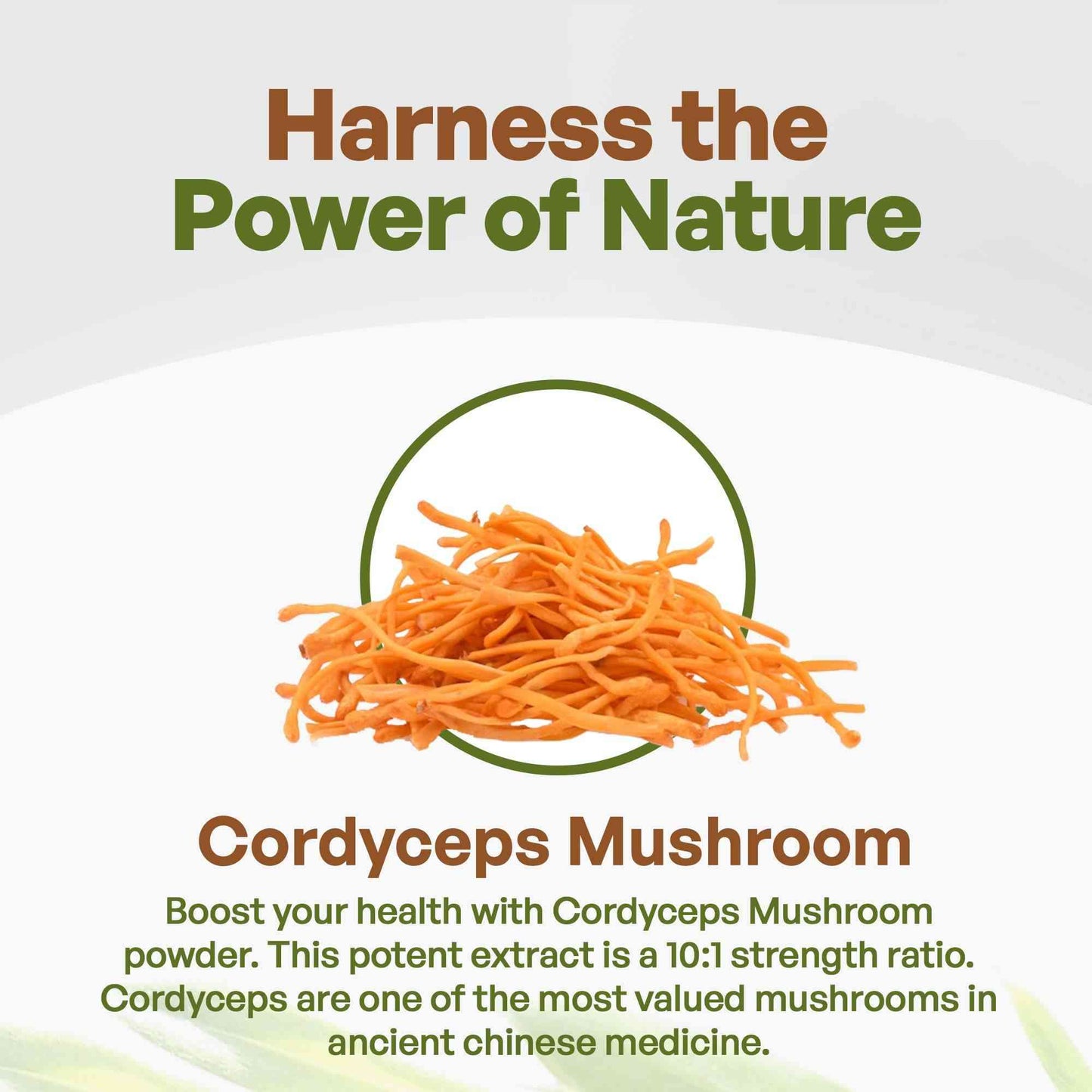 Organic Cordyceps Mushroom Powder