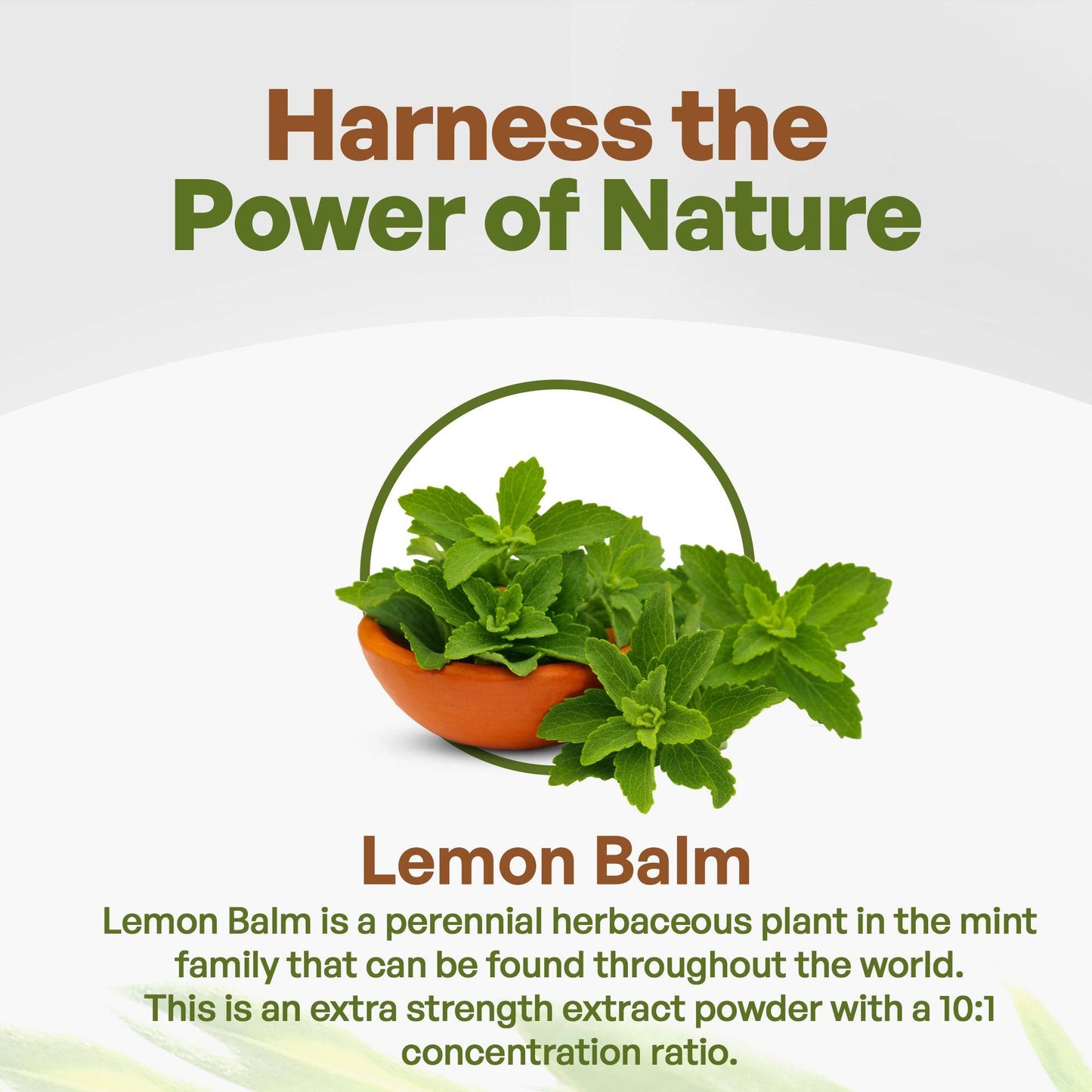Go Nutra Lemon Balm Extract Powder 10:1