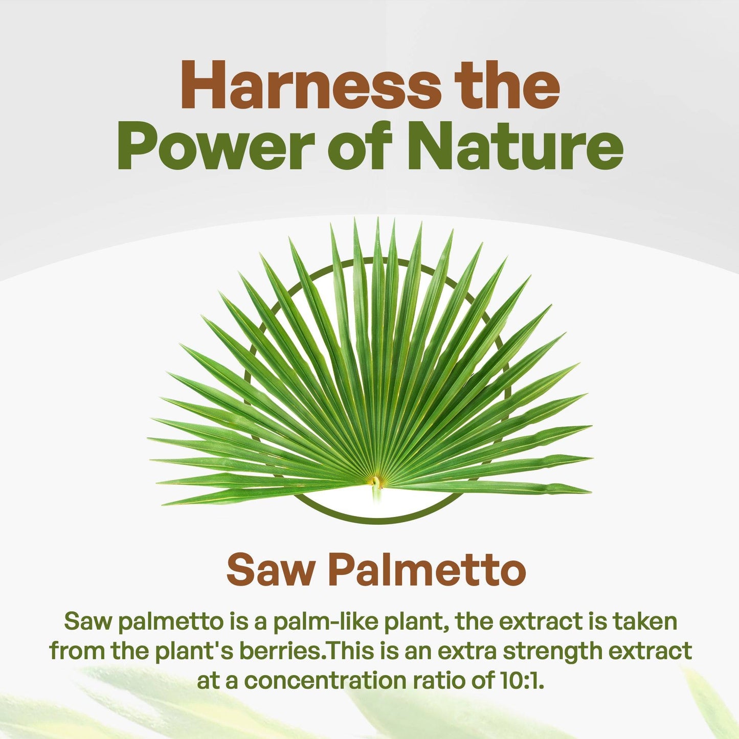 Herbs & Botanicals Go Nutra  Saw Palmetto Root Extract