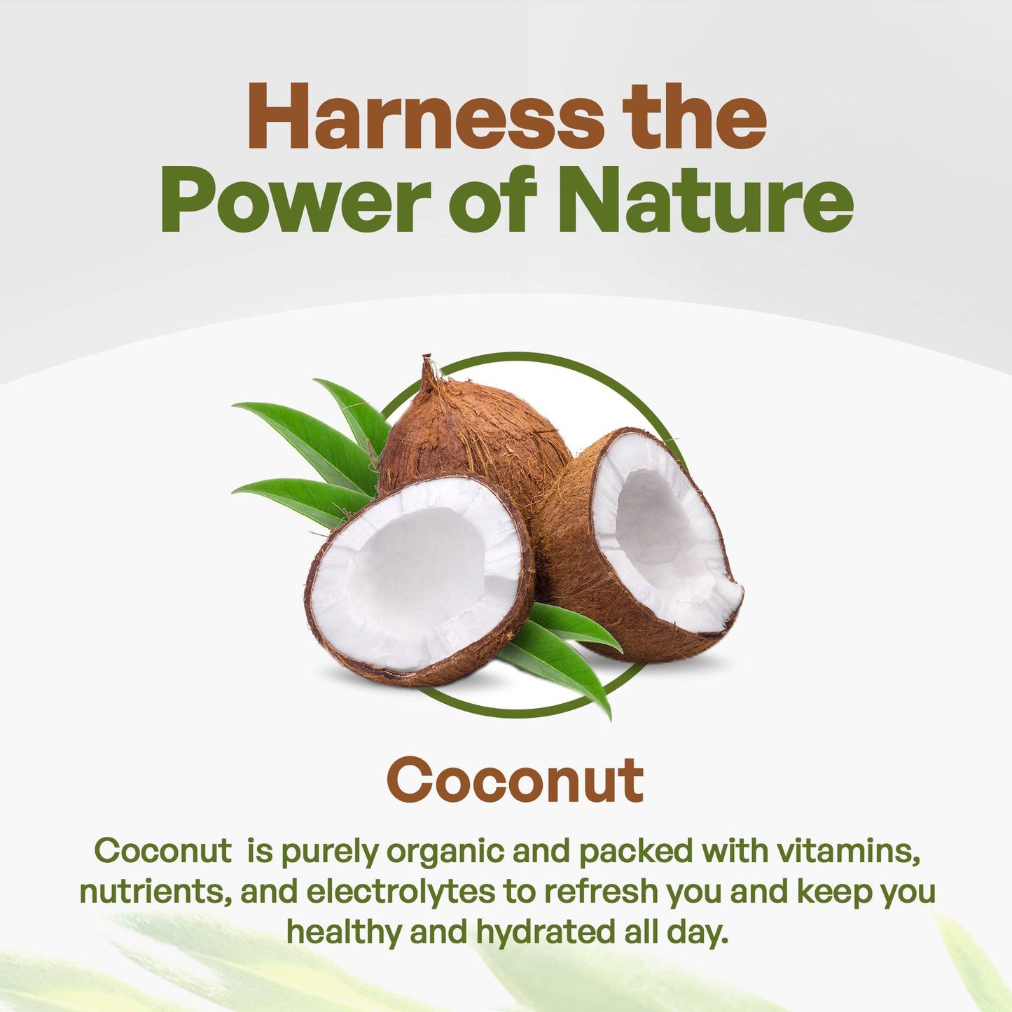 Herbs & Botanicals Go Nutra Go Nutra Organic Coconut Water