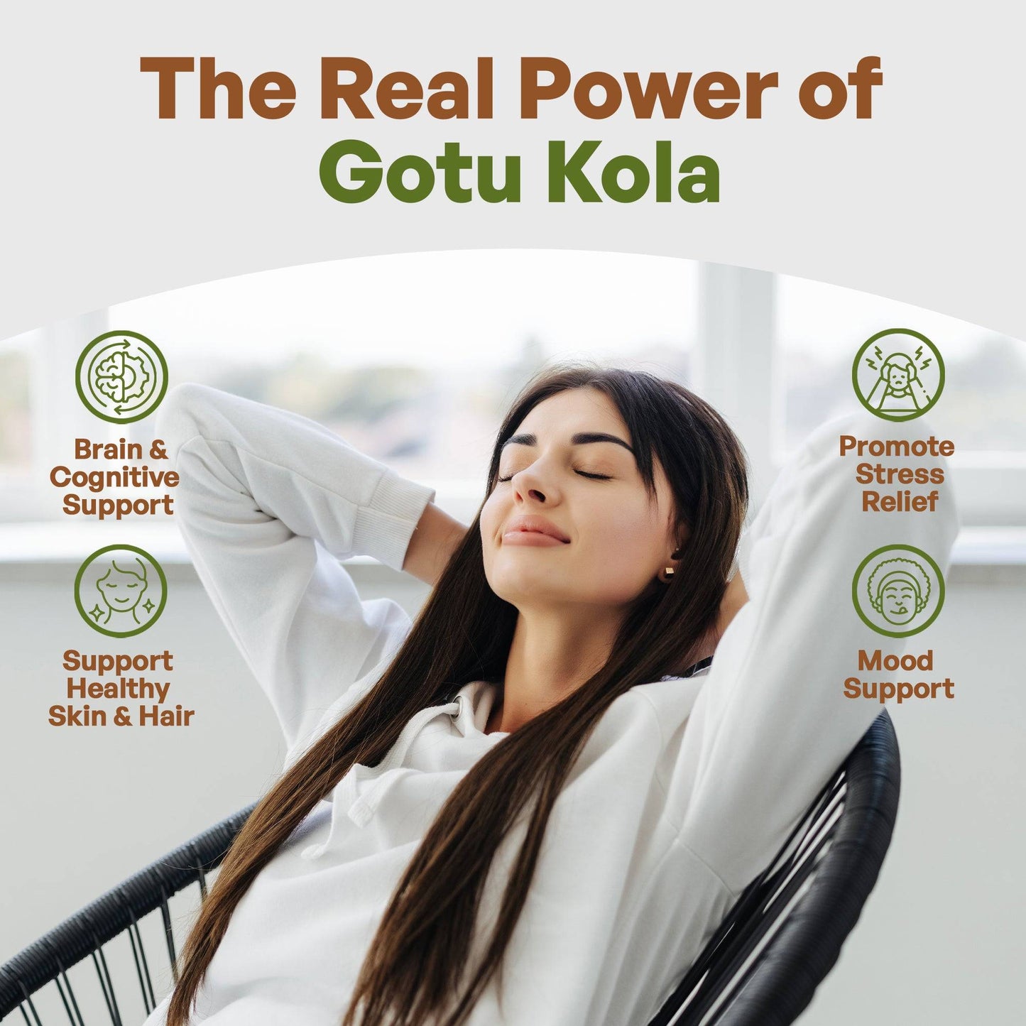 Gotu Kola Extract Powder 8oz Centella Asiatica Herbs & Botanicals Go Nutra Go Nutra Gotu Kola Benefits Gotu Kola herbs | Go Nutra
