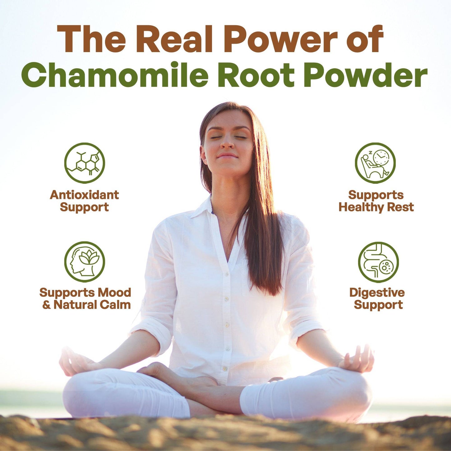 Chamomile Extract Powder 8oz Herbs & Tea Go Nutra Go Nutra Organic Chamomile Extract Powder 8oz