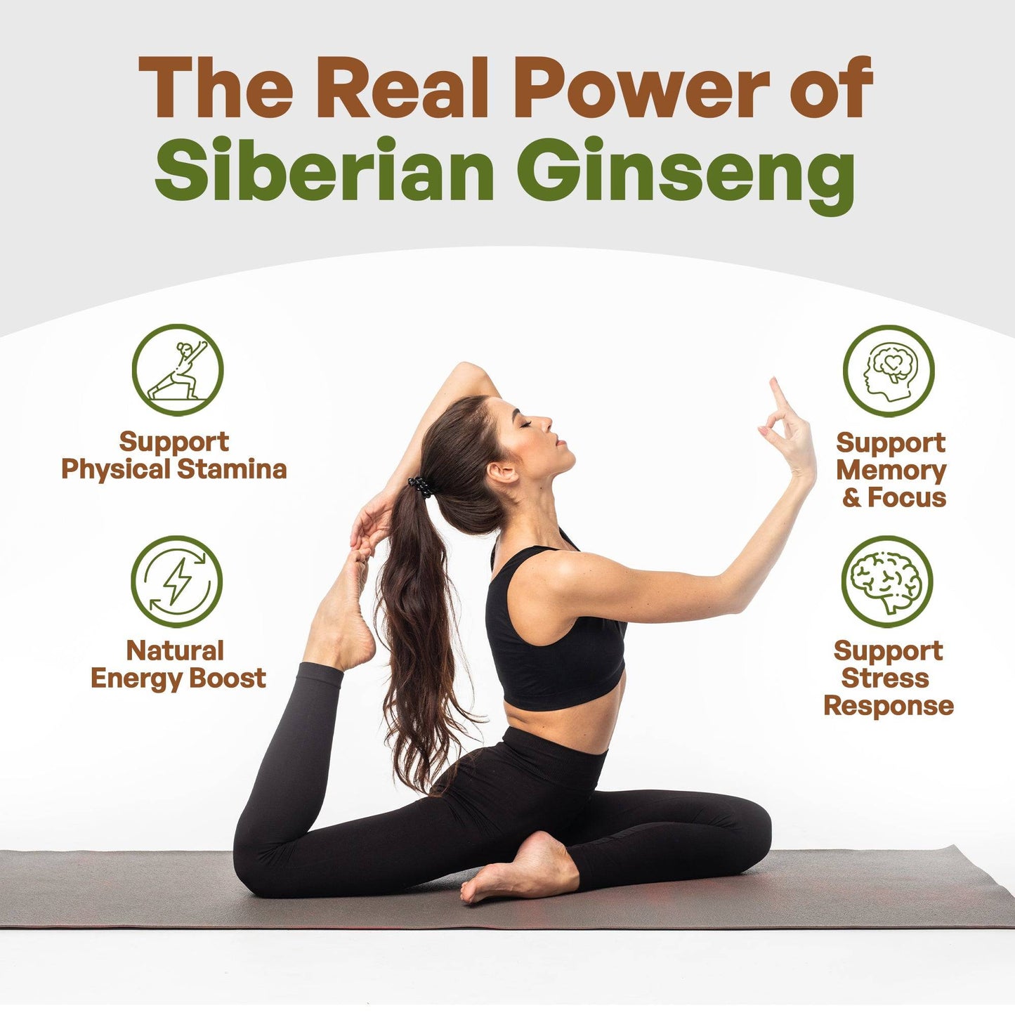 Siberian Ginseng Powder 4:1 Extract Herbs & Botanicals Go Nutra Go Nutra Herbs & Botanicals Siberian Ginseng Powder 4:1 Extract Go