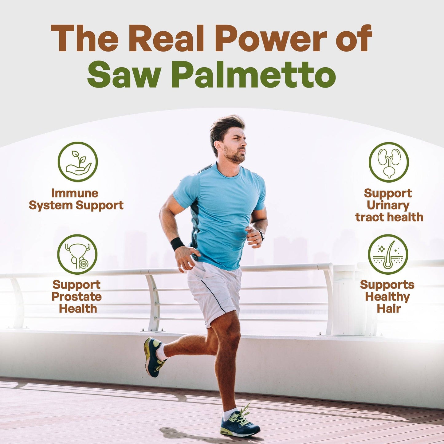Saw Palmetto Extract Powder 4 oz Herbs & Botanicals Go Nutra Go Nutra Saw Palmetto Root Extract Powder 4oz | Go Nutra