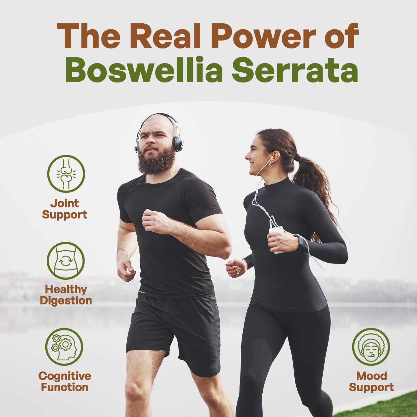 Boswellia Serrata Extract 8 oz Herbs & Botanicals Go Nutra Go Nutra Boswellia Serrata Extract - Natural Anti-Inflammatory Supplement