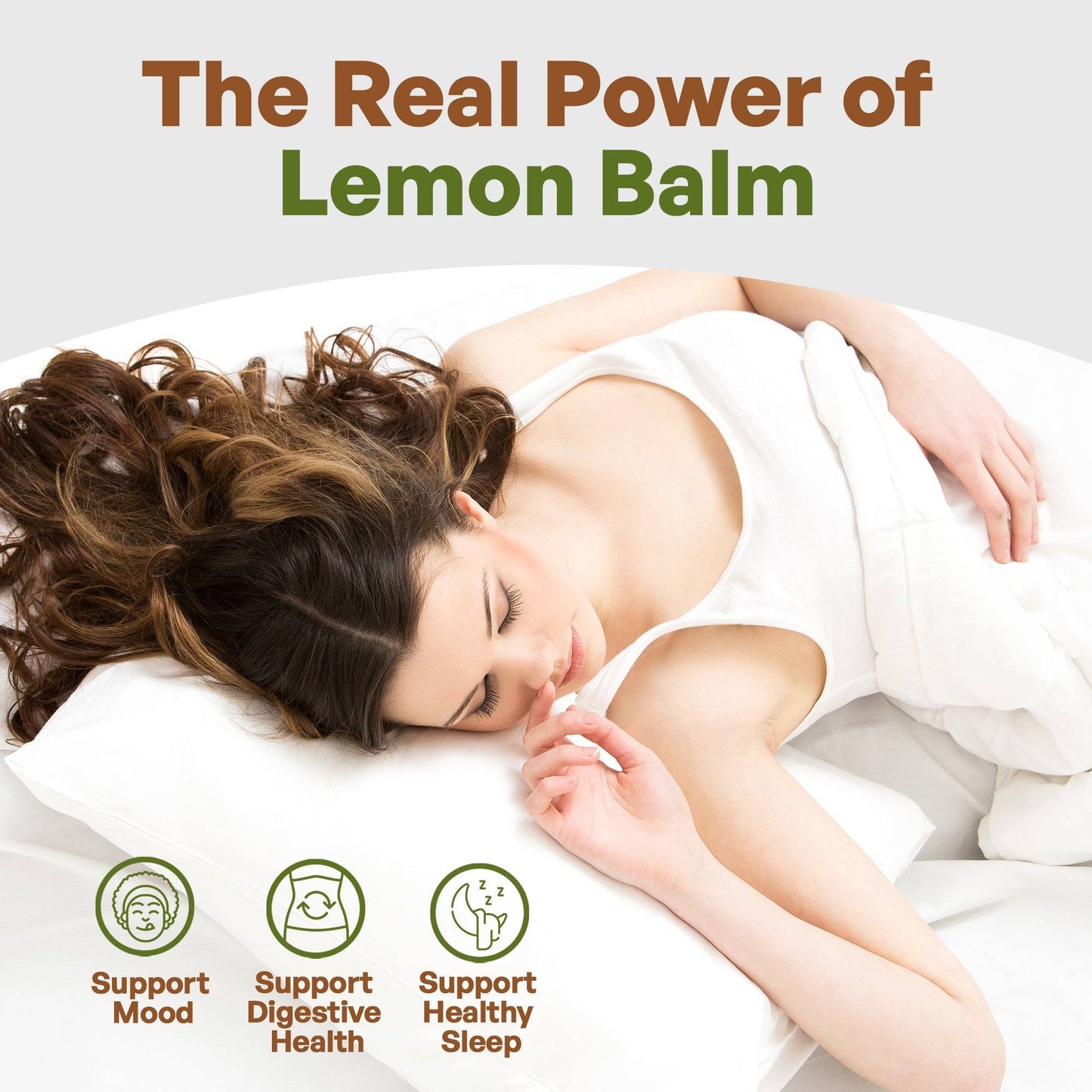 Lemon Balm Extract Powder 10:1 | Melissa Herbal Supplement 8oz Herbs and Botanical Go Nutra Go Nutra Lemon Balm Extract Powder 10:1 - Go Nutra