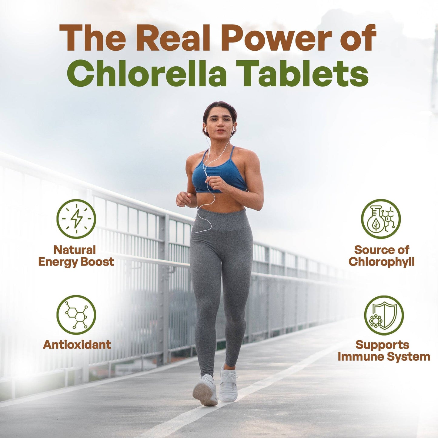 Chlorella Tablets Organic Broken Cell 3000mg Per Serving,1000 Tablets Superfood Herbs & Botanicals Go Nutra Go Nutra Organic Chlorella Tablets  | 1000 Tablets Superfood | Go Nutra