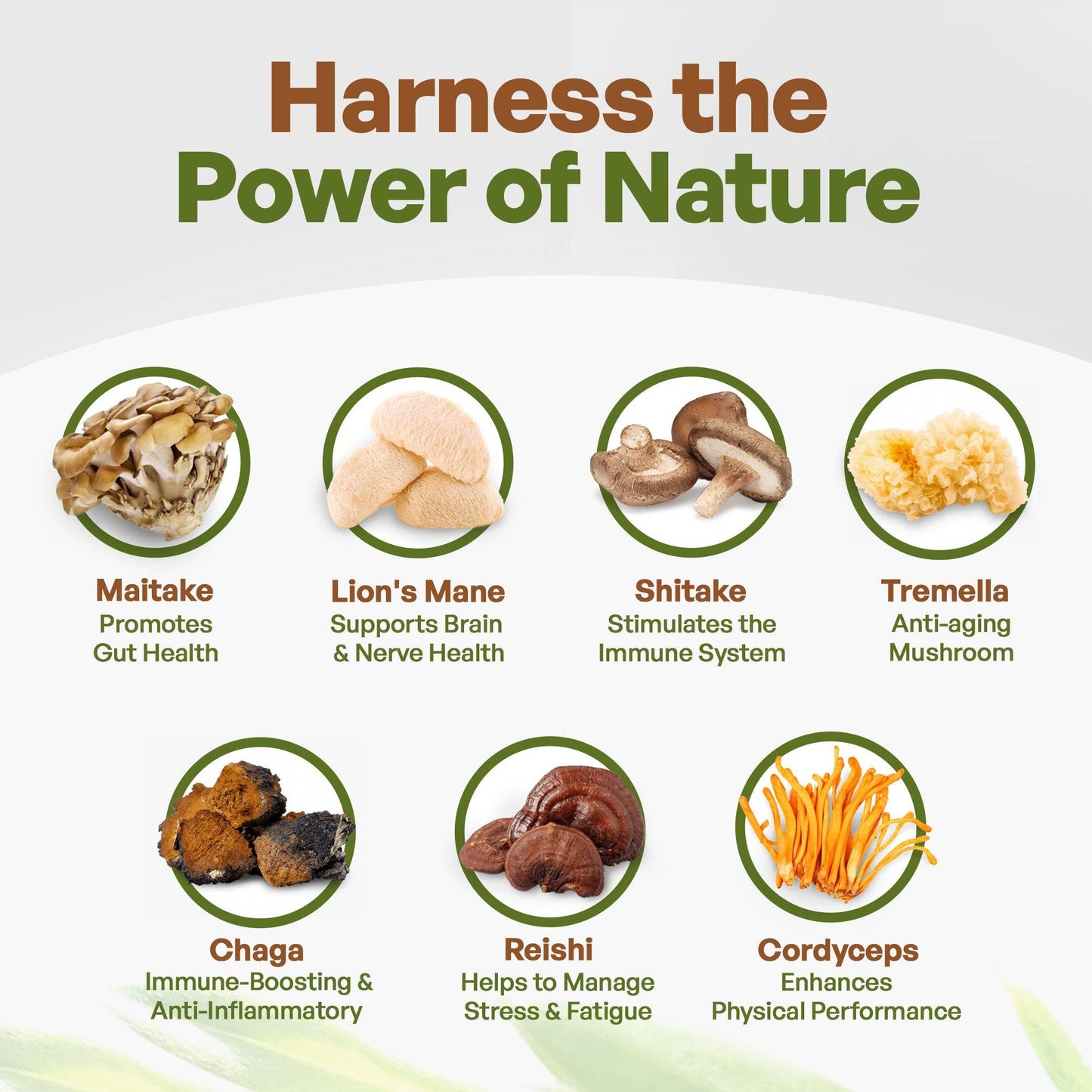 Go Nutra Go Nutra Lions Mane Chaga Reishi Cordyceps Shitake Maitake Tremellia