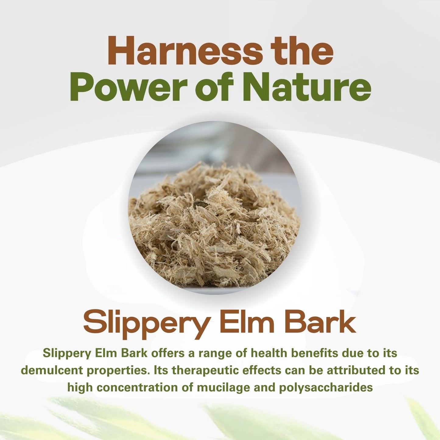 a flyer with a picture of slippery elm bark