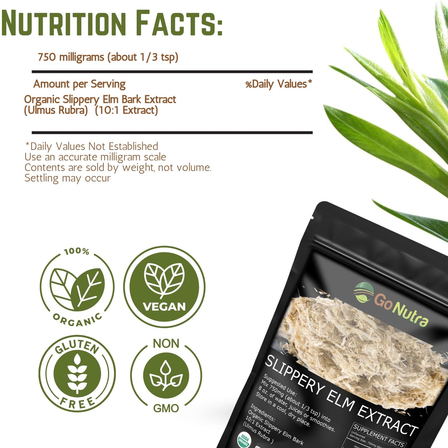 a packet of protein powder next to a plant