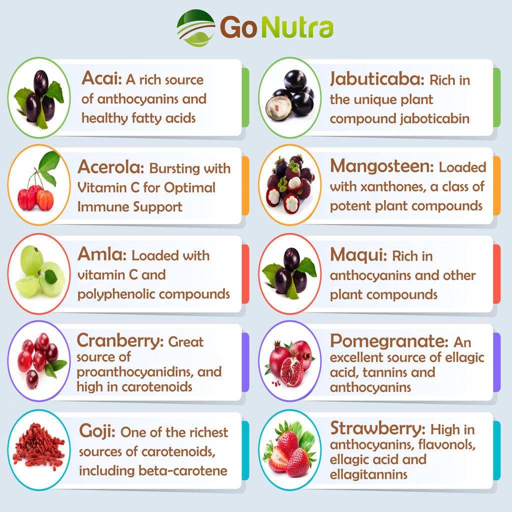 Berries Blend Superfood Smoothie Powder Mix Acai Maqui Goji & more 8oz Smoothies Health & Beauty:Vitamins & Dietary Supplements:Herbs & Botanicals Go Nutra Go Nutra Berries Blend Superfood Smoothie Powder Mix