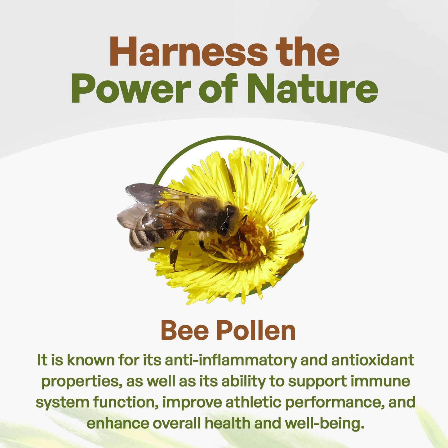 Bee Pollen Powder 8 oz Natural Vegan Gluten Free 