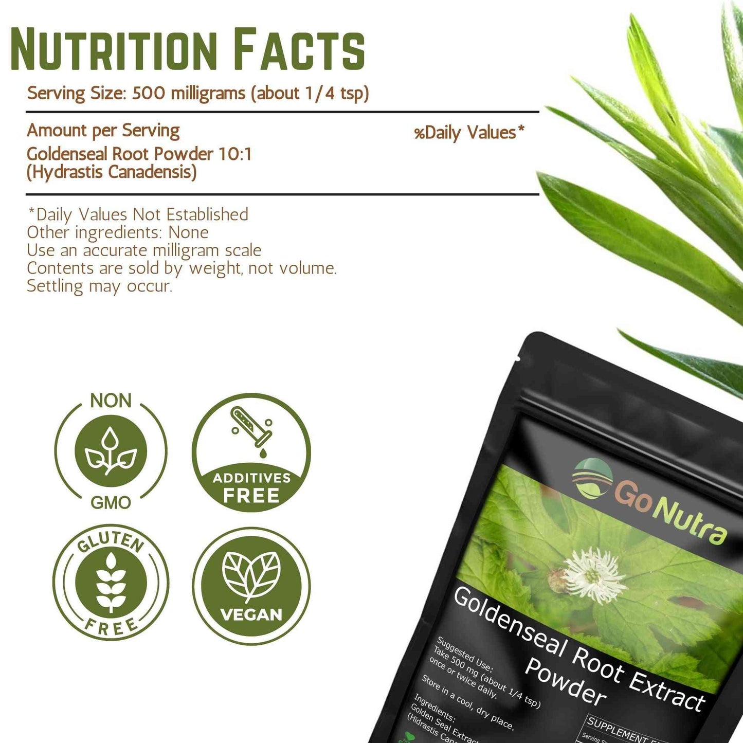 
                  
                    Goldenseal Root Extract Potent 10:1 Goldenseal Extract Powder 4 oz. Herbs & Botanicals Go Nutra Go Nutra Goldenseal Root Extract Powder Potent 10:1 - 4 oz
                  
                