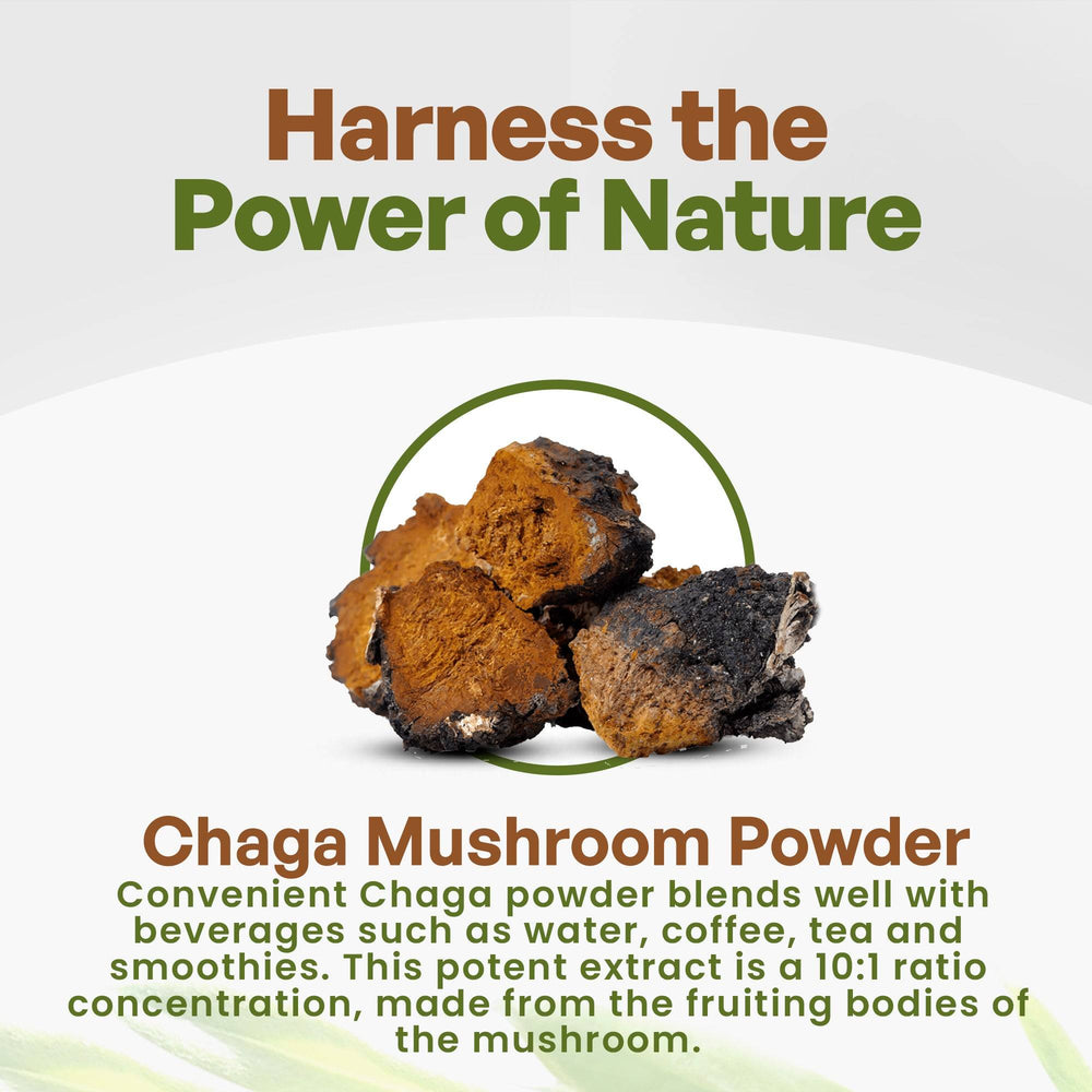 
                  
                    Chaga Mushroom Powder | Inonotus obliquus 8oz
                  
                