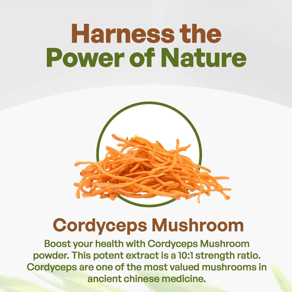 
                  
                     Organic Cordyceps Mushroom Powder 
                  
                