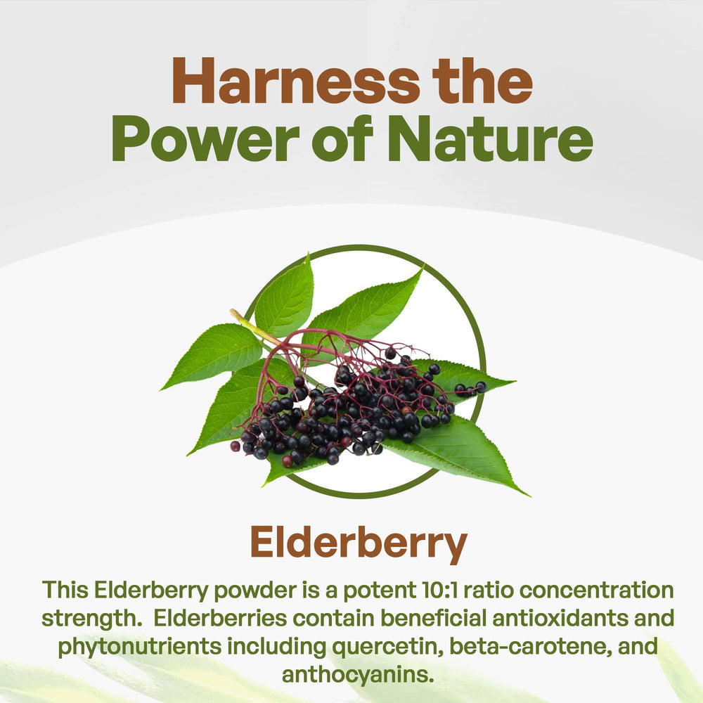 
                  
                    Elderberry Juice Powder Sambucus Nigra 1
                  
                
