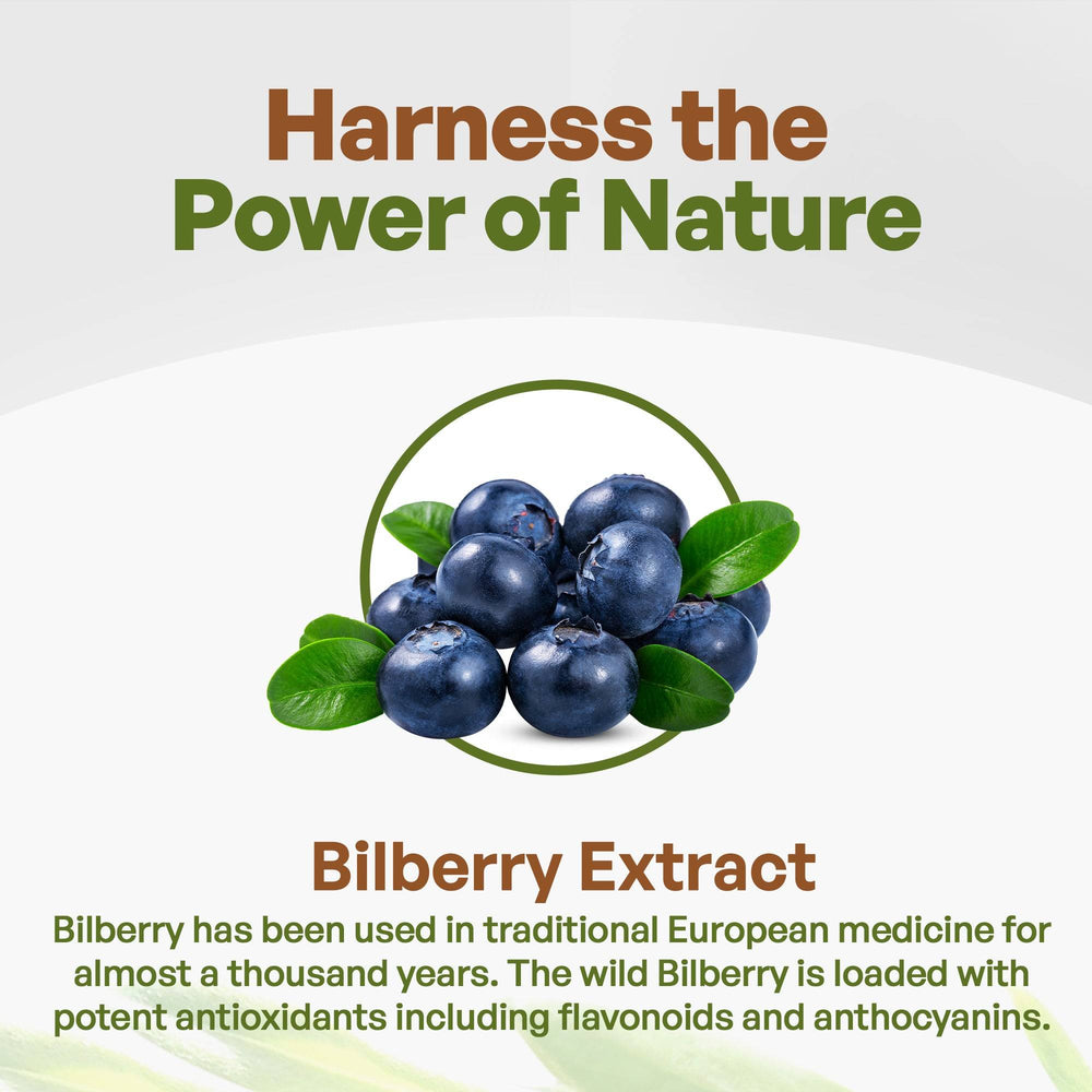 
                  
                    Bilberry Fruit Powder
                  
                