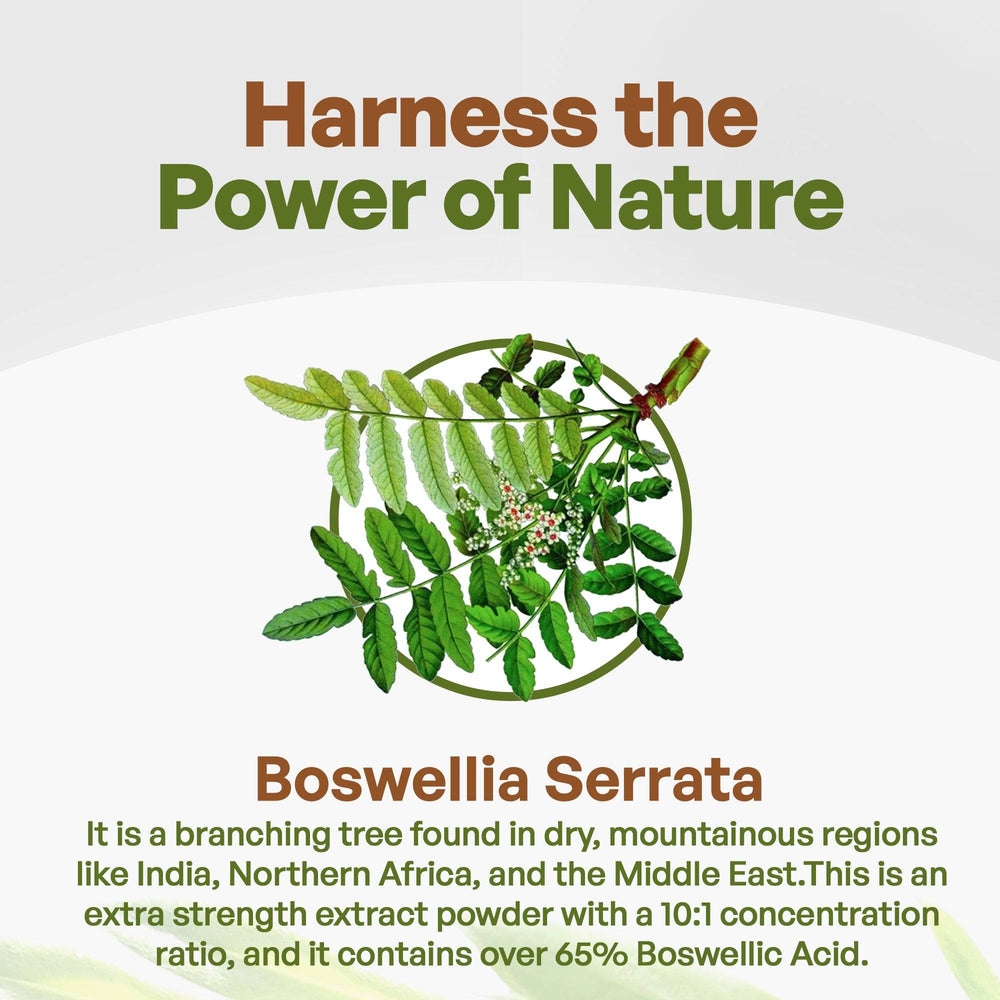 
                  
                    Go Nutra Boswellia Serrata Extract - Natural Anti-Inflammatory Supplement
                  
                