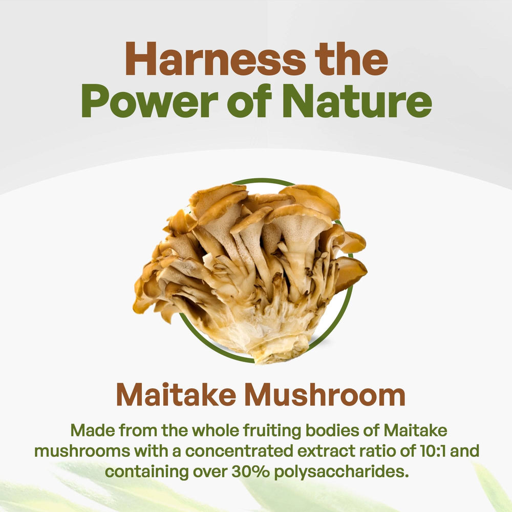 
                  
                    Maitake Mushroom Extract Powder 8oz Herbs & Botanicals Go Nutra Go Nutra Maitake Mushroom Extract Powder | Go Nutra 
                  
                