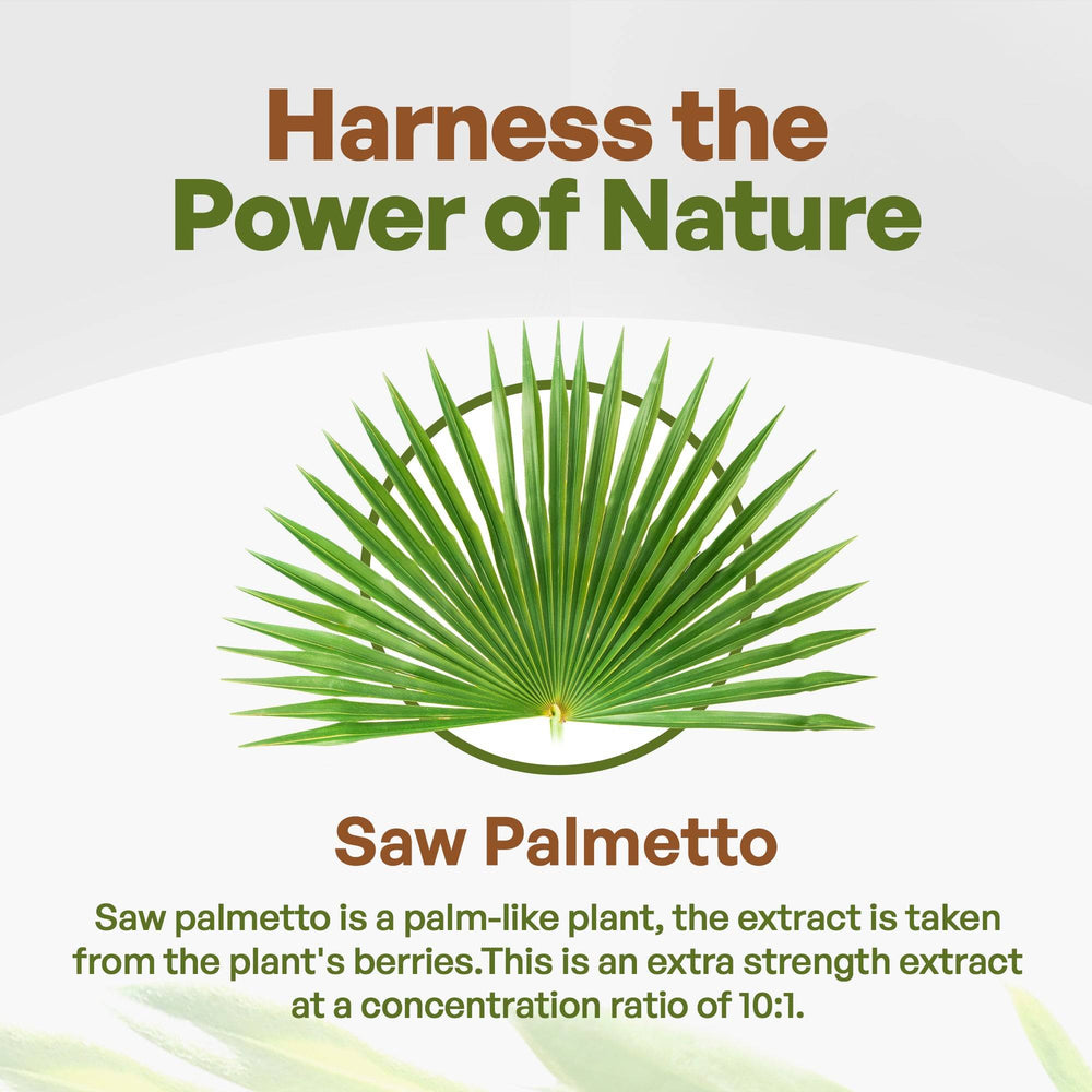 
                  
                     Herbs & Botanicals Go Nutra  Saw Palmetto Root Extract 
                  
                