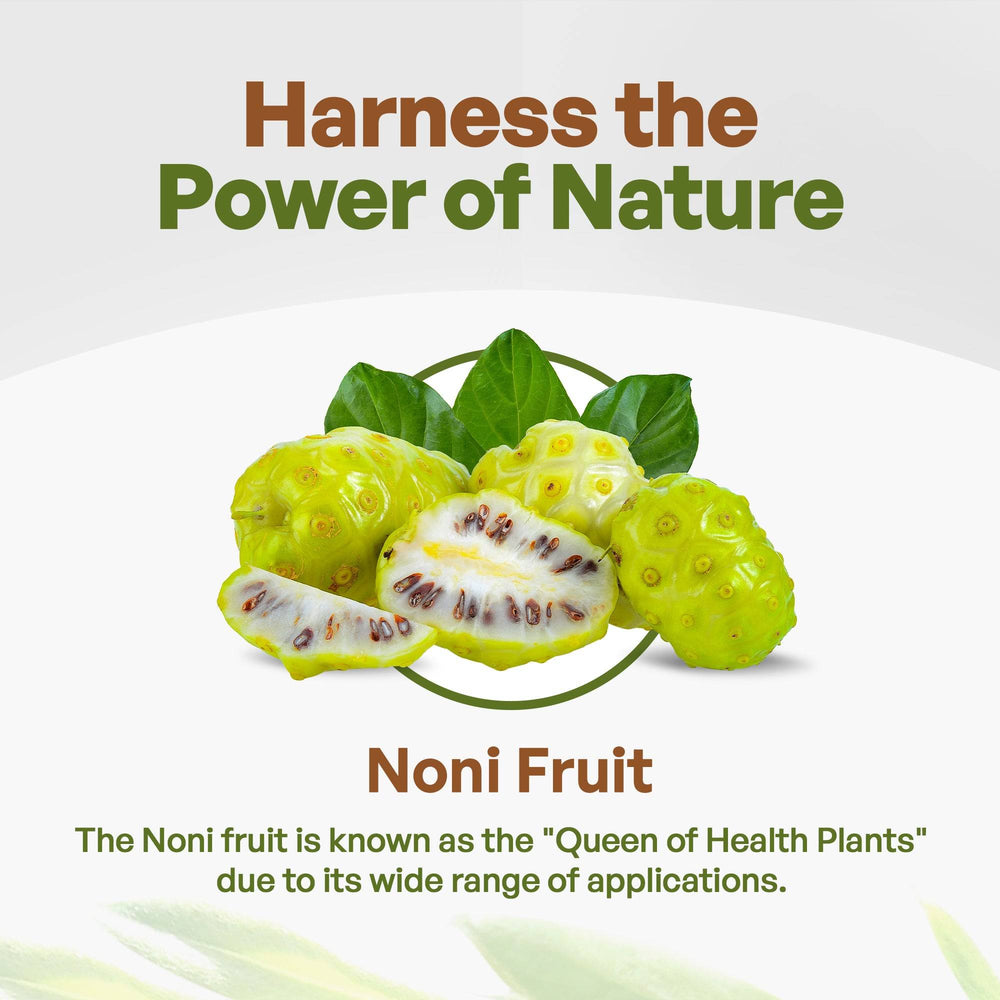 
                  
                     Go Nutra Organic Noni Fruit Powder 16 oz | Go Nutra
                  
                