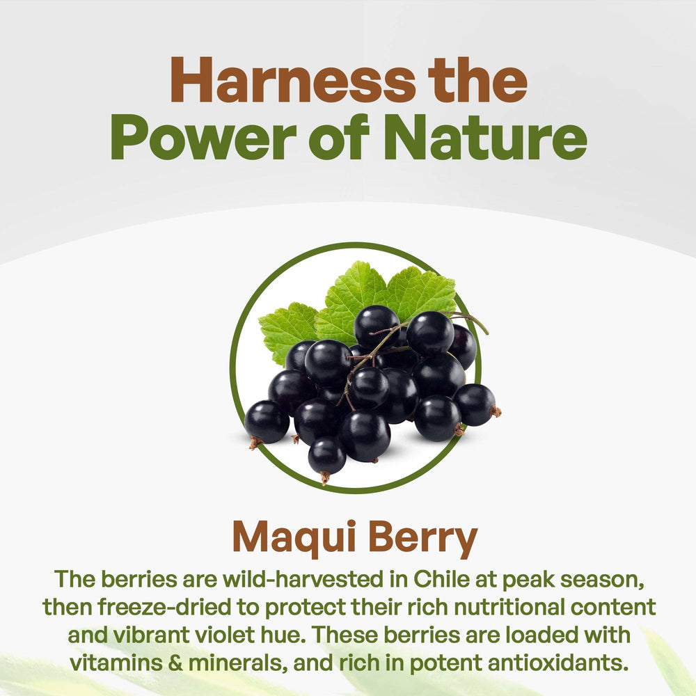 
                  
                     Maqui Berry Powder Freeze Dried 
                  
                