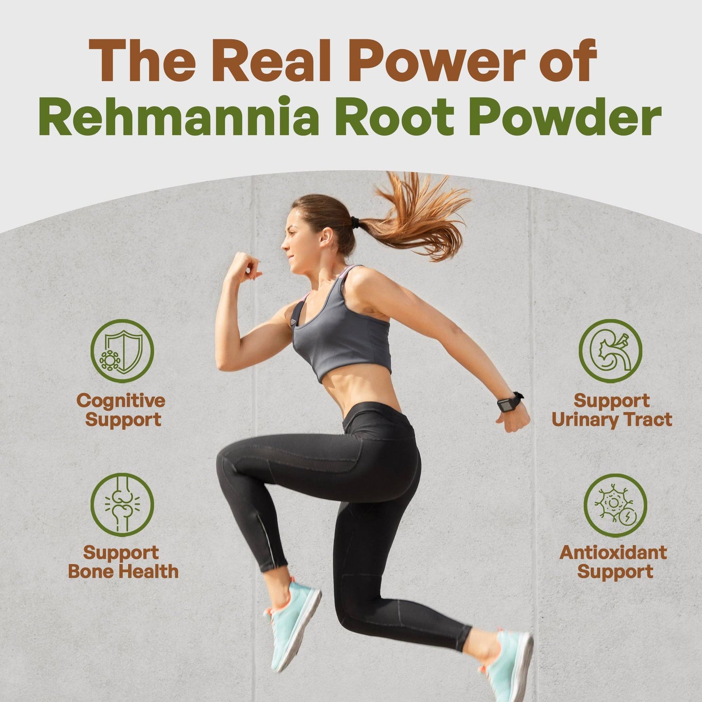 
                  
                    Rehmannia Root Extract Powder 4oz Herbs & Botanicals Go Nutra Go Nutra Rehmannia Root Extract Powder | Go Nutra 
                  
                