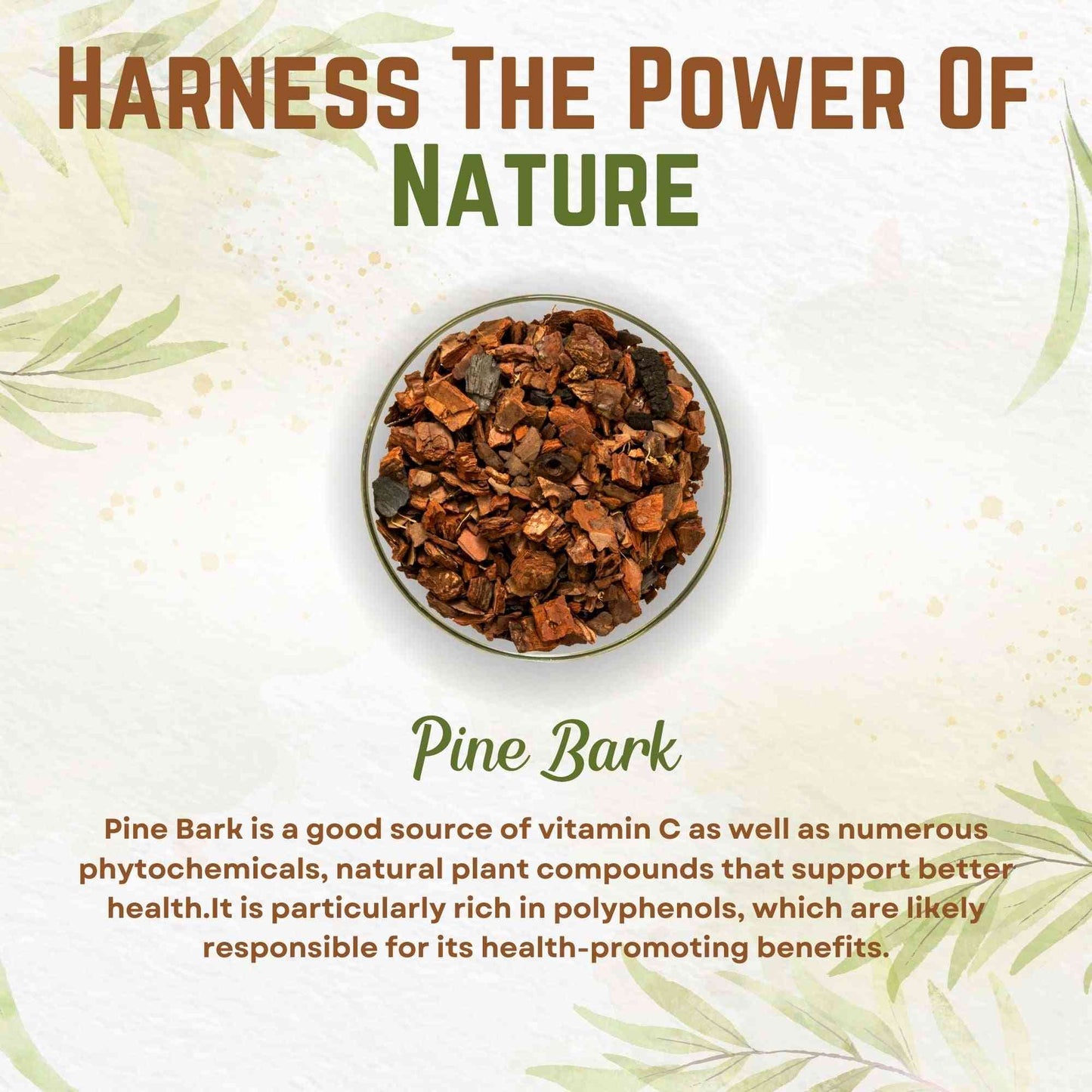 
                  
                    Pine Bark Extract Powder Standardized 95% Proanthocyanidins Pine Bark Powder 8oz. Health & Beauty:Vitamins & Dietary Supplements:Herbs & Botanicals Go Nutra Go Nutra Pine Bark Extract Powder 95% Proanthocyanidins
                  
                