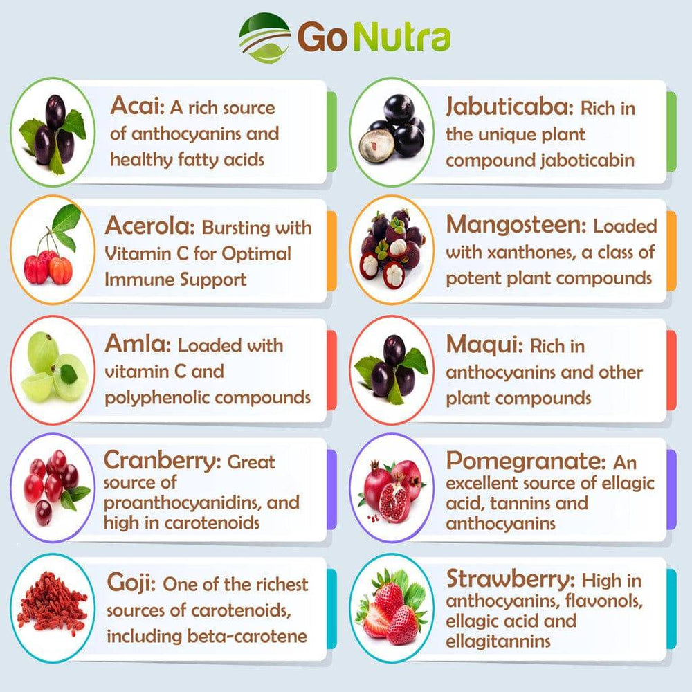 
                  
                    Berries Blend Superfood Smoothie Powder Mix Acai Maqui Goji & more 8oz Smoothies Health & Beauty:Vitamins & Dietary Supplements:Herbs & Botanicals Go Nutra Go Nutra Berries Blend Superfood Smoothie Powder Mix
                  
                