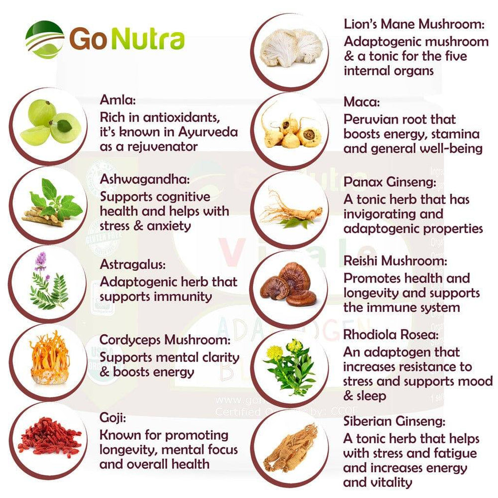 
                  
                    Superfood Smoothie Powder Organic Adaptogen Blend | 8 oz Smoothie Booster Powder Health & Beauty:Vitamins & Dietary Supplements:Herbs & Botanicals Go Nutra Go Nutra Health & Beauty:Vitamins & Dietary Supplements:Herbs &
                  
                