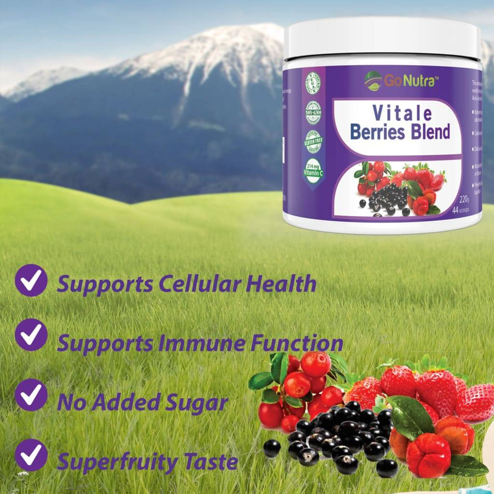 
                  
                     Go Nutra Berries Blend Superfood Smoothie Powder Mix
                  
                