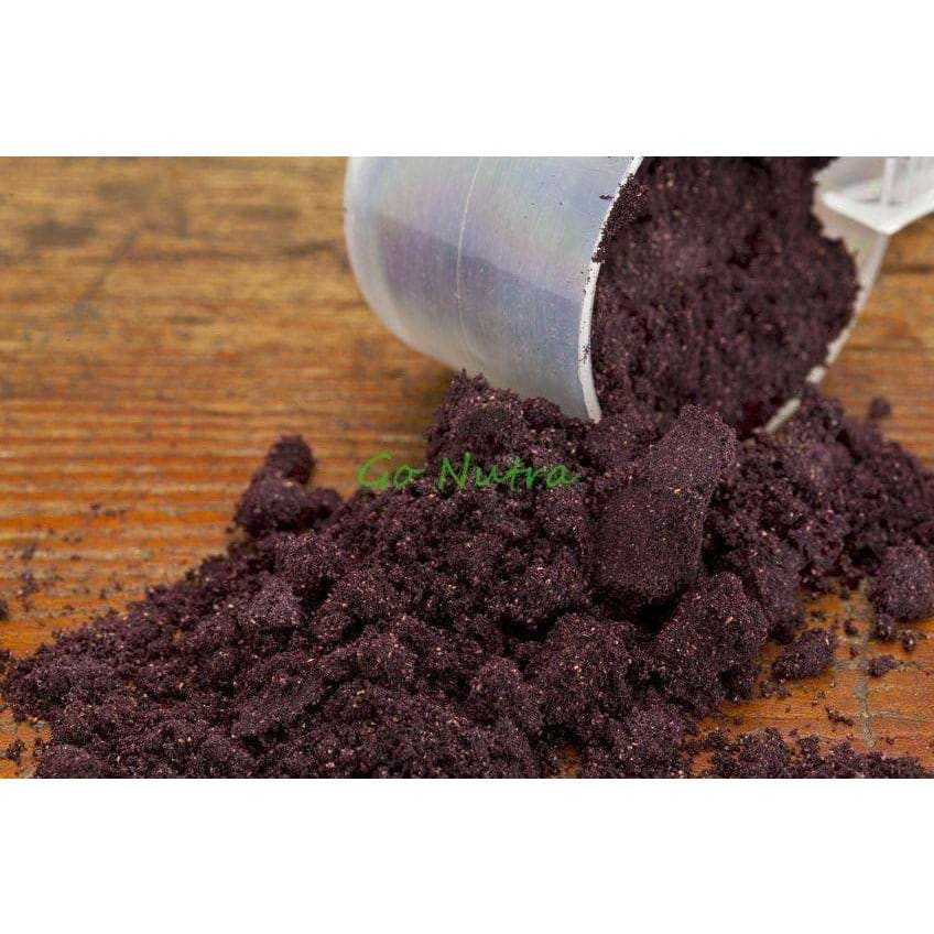 
                  
                    Maqui Berry Powder Organic Freeze Dried | Bulk Wholesale 1 
                  
                