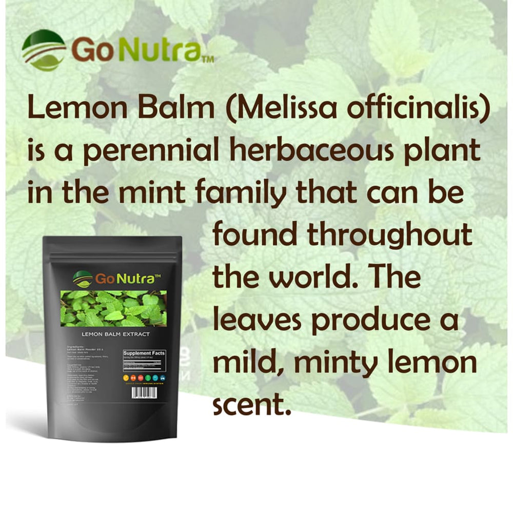 
                  
                    Lemon Balm Extract Powder 10:1 Strength Potent - Melissa 
                  
                