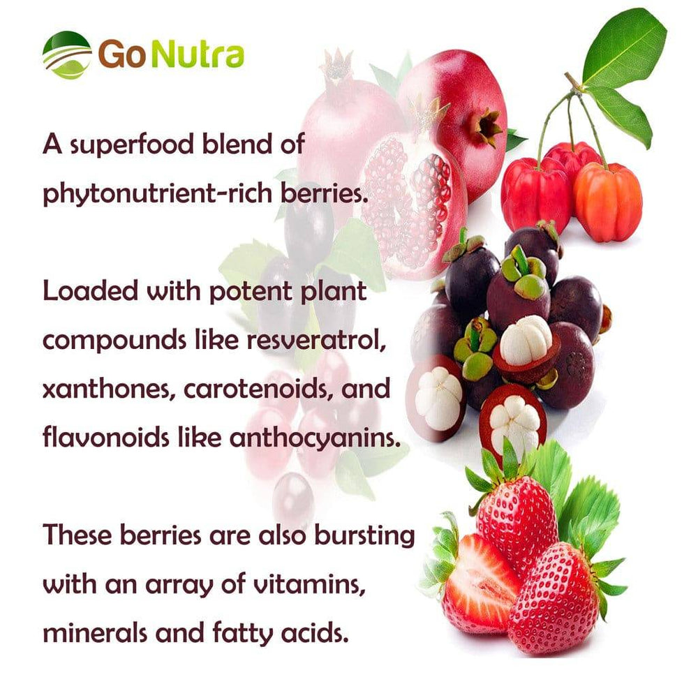 
                  
                    Berries Blend Superfood Smoothie Powder Mix Acai Maqui Goji & more 8oz Smoothies Health & Beauty:Vitamins & Dietary Supplements:Herbs & Botanicals Go Nutra Go Nutra Berries Blend Superfood Smoothie Powder Mix
                  
                